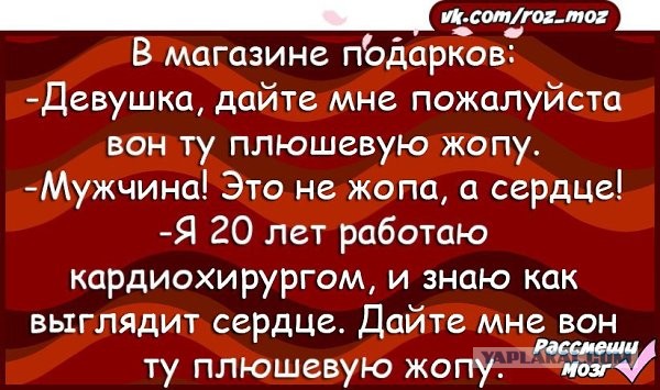 17 безупречных фотографий, которые являются идеальным воплощением слова «совершенство»