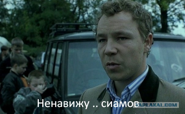 Куклачёв обзавидуется