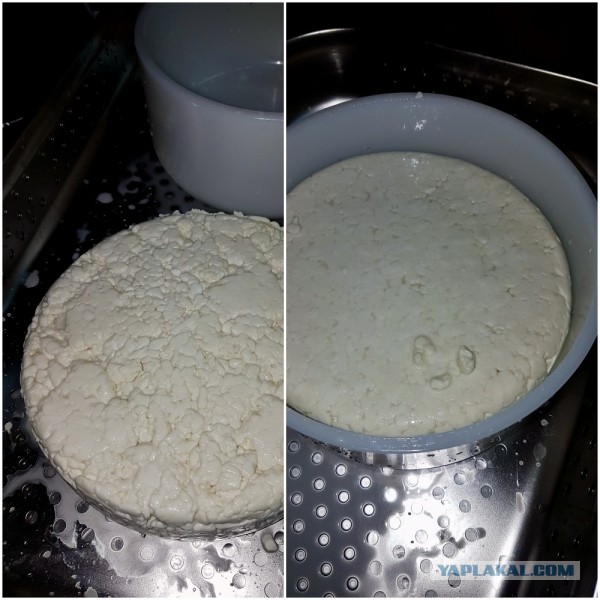 Сыр Маасдам