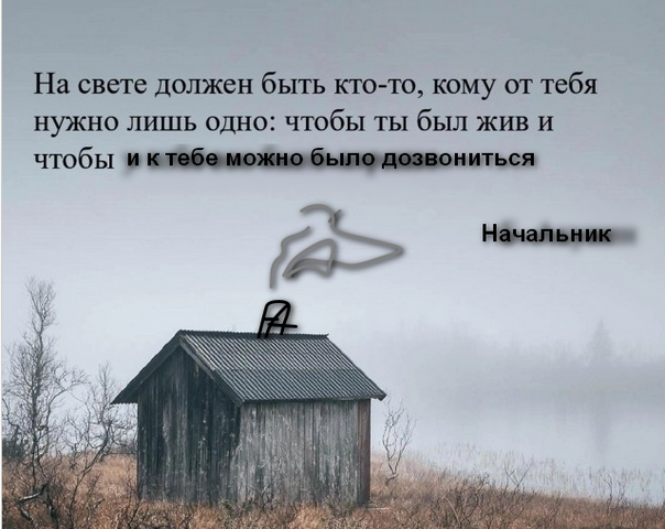 Б. Акунин