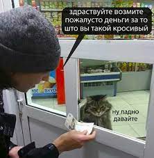 Новый конкурс "СлонотЯП"
