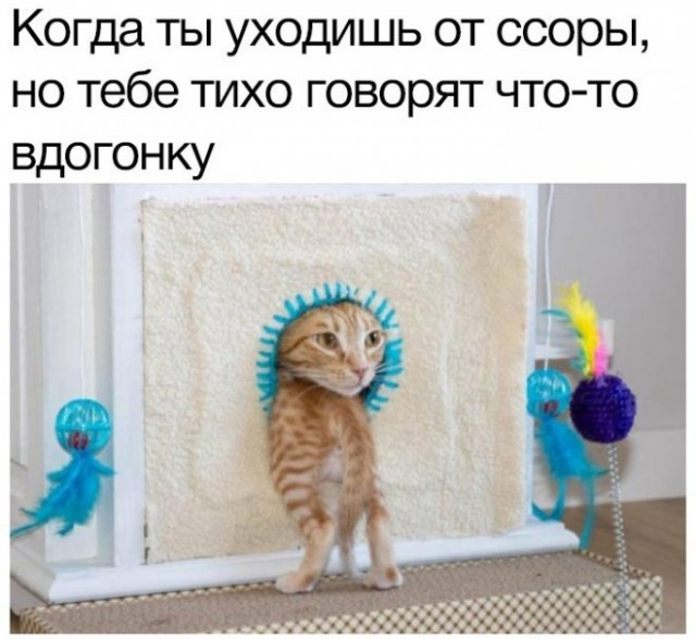 Немного картинок для настроения - 161