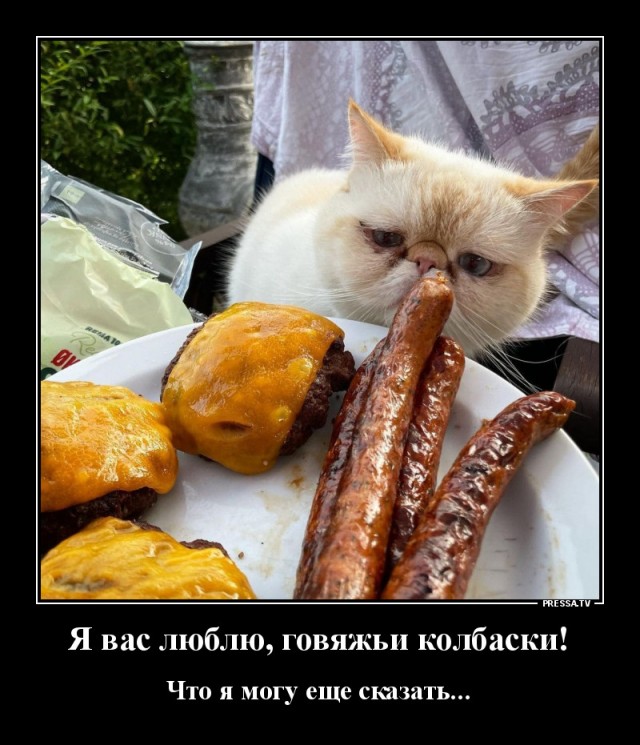 Картинки и мемы, всем хороших выходных