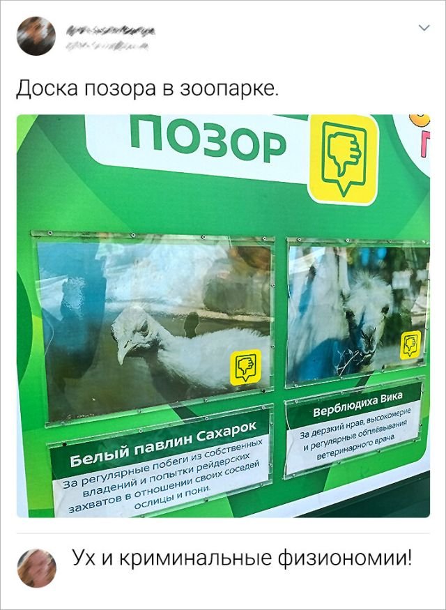 Картинки и мемы для настроения - 181
