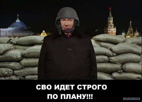 Новые заявления Путина