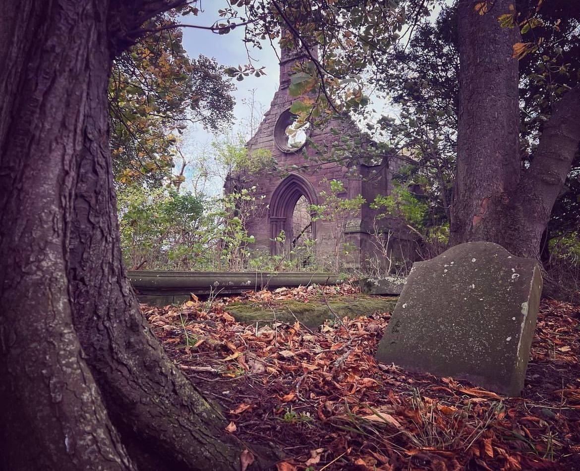 Древняя могила заросшая. Могила любовь полищук на троекуровском. Розы на кладбище. Могила любови полищук на троекуровском кладбище. Люблю кладбище.