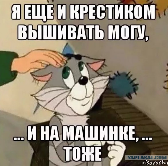 Поплыл усатый