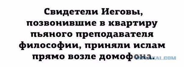 Весёлый полтишок 05.05.24