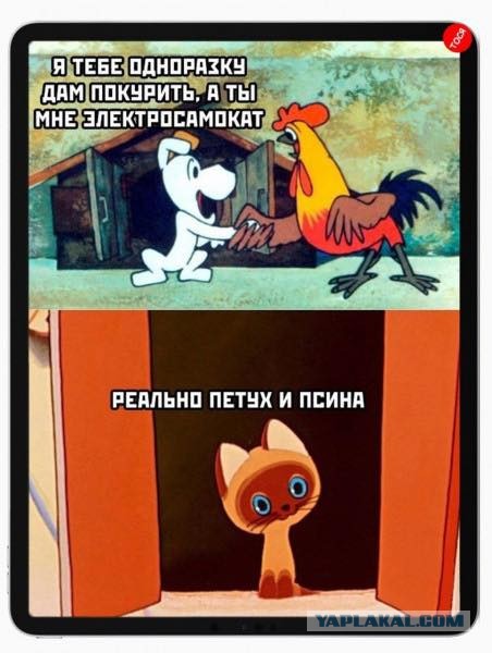 Гонщик-самокатчик на полной скорости снёс женщину с младенцем, отмахнулся и уехал