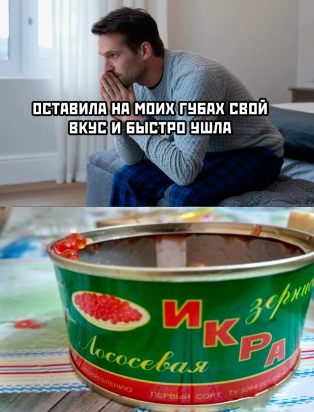 Весёлый полтишок 03.01.25