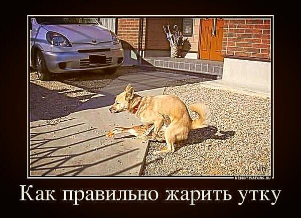 Как правильно жарить картошку?