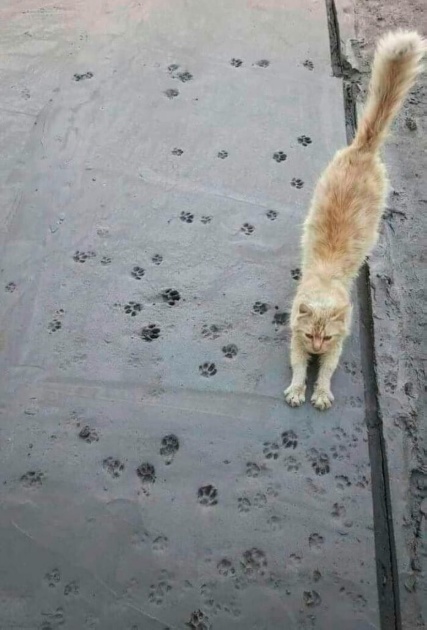 Так всякие картинки