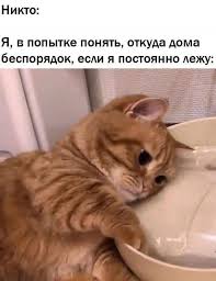 Картинки для деградации 31 (разной стпени свежести)