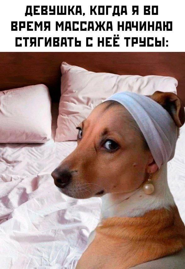 Картинки для деградации 73 (разной степени свежести)