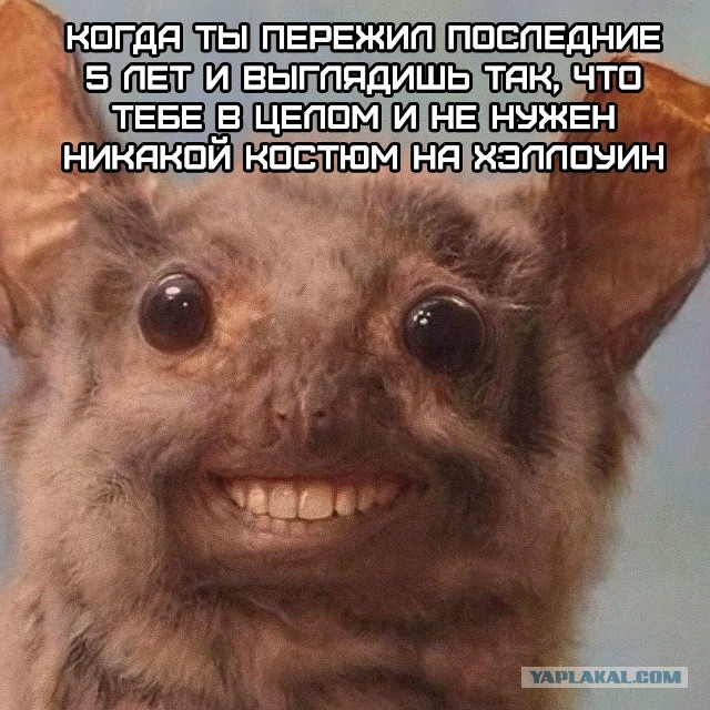 Картинки всякие разные невпопад