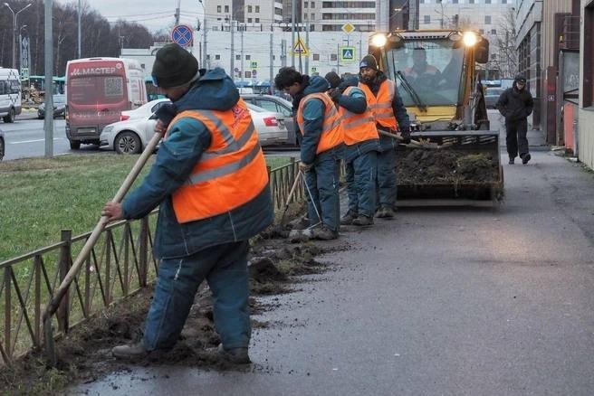 Мигранты из Индии убирают улицы Петербурга