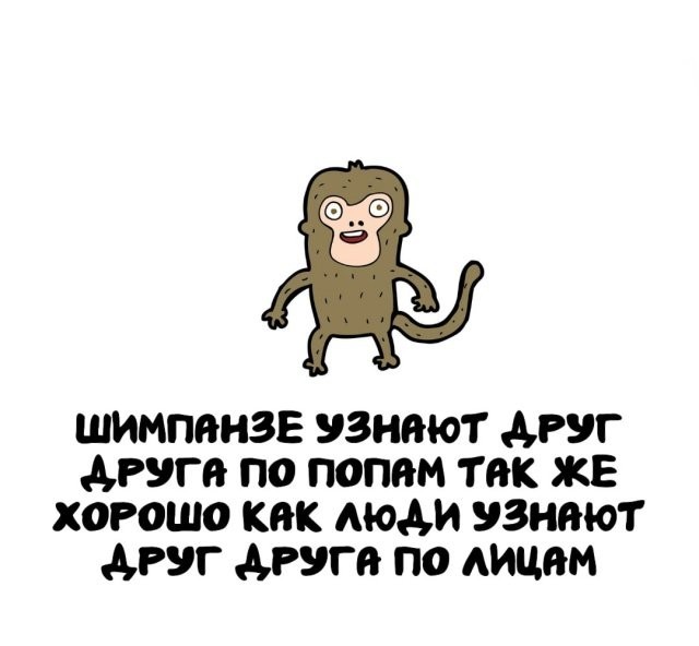 Интересные и короткие факты на все случаи жизни 05.01.26