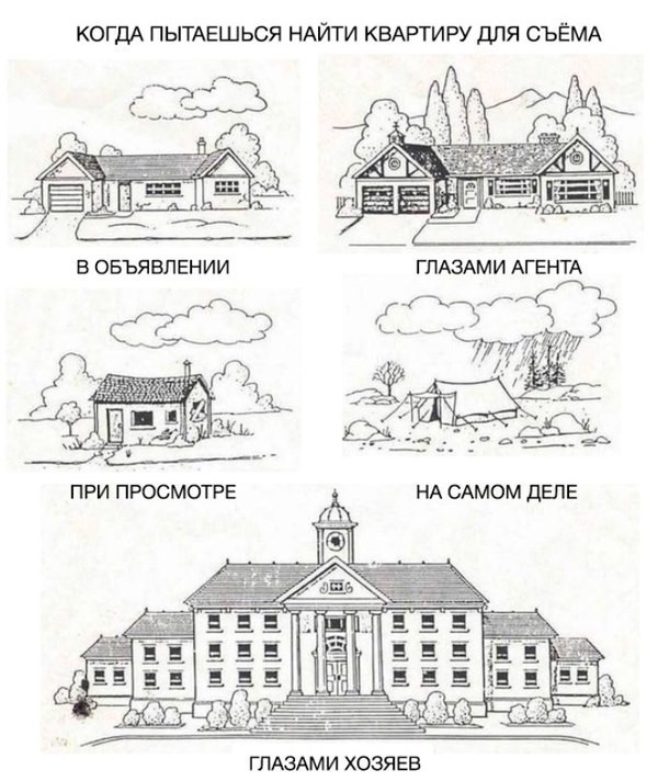 Так себе картинки 17.01.26