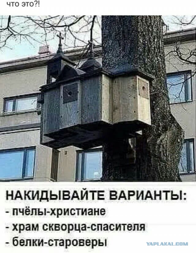 Картинки для деградации 146 (разной степени свежести)