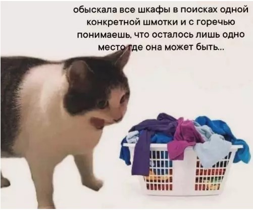 Пакет брать будете?