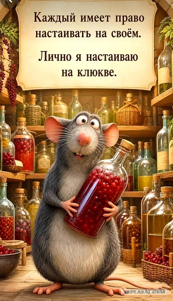 Изображения для сокращения лицевой мускулатуры #3