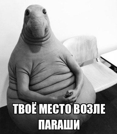 В Китае ученых показывают на уличных экранах и относятся к ним как к национальным знаменитостям⁠⁠