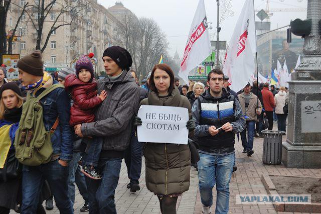 Майдан 2013, Киев