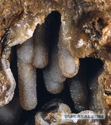 Забавные камешки. Халцедон