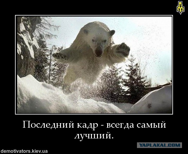 Он нападает из засады