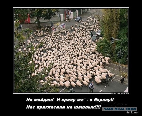 Российские флаги повсюду