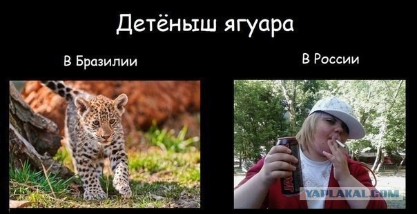 Ожидания VS Реальность