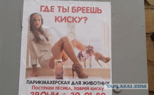 Народное творчество апреля
