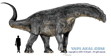 Найден самый большой динозавр