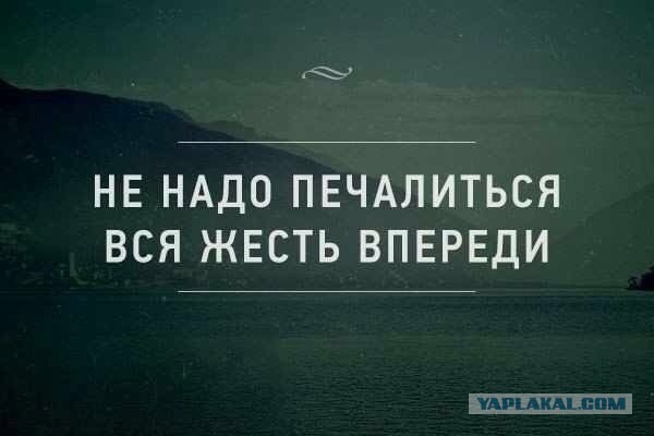 Яценюк предложил урезать