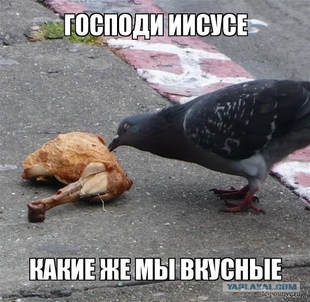 Какой же ты вкусный!