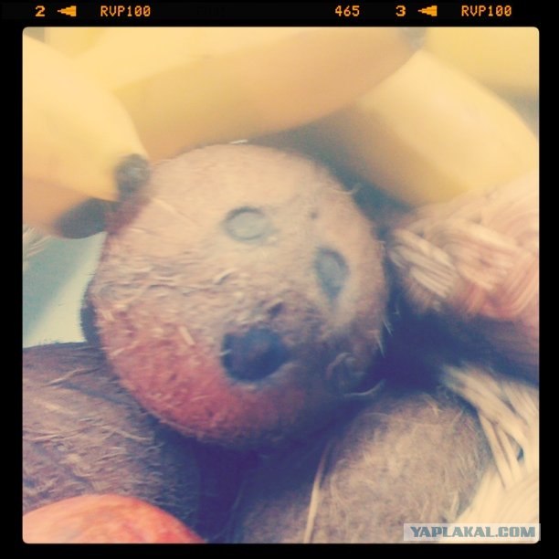 Счастливый миксер