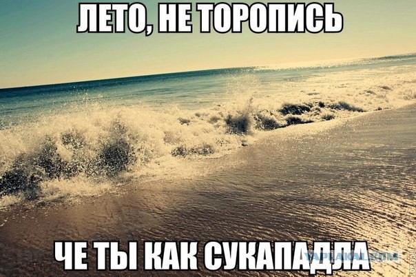 Жизнь как она есть...