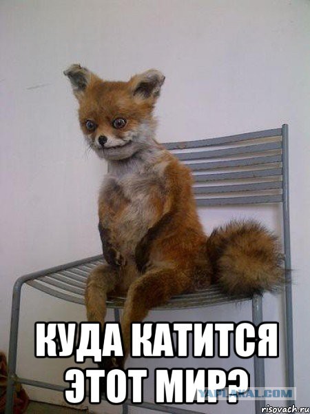 Малолетки совсем берега попутали