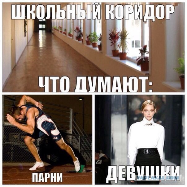 Немного картинок