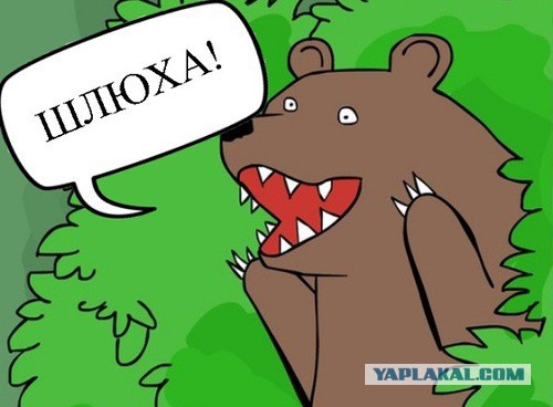 Как не быть быдлом