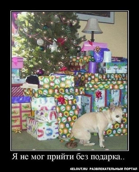 Картинки и прочее