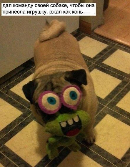 Картинки и гифки