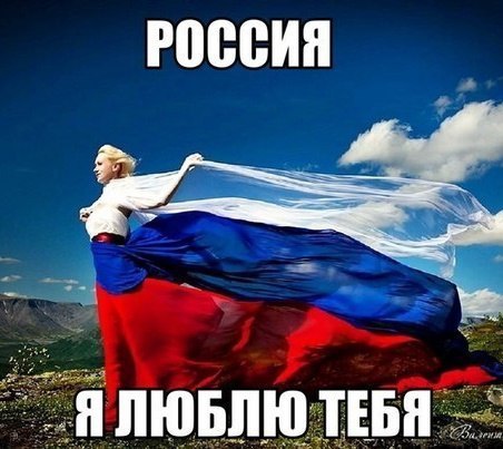 Пучок смешных картинок