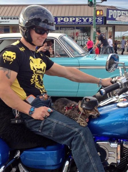 Подборка картинок 04.03.16