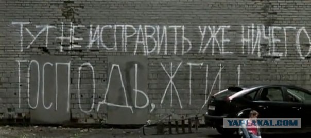 Без слез не взглянешь. Обращение к президенту