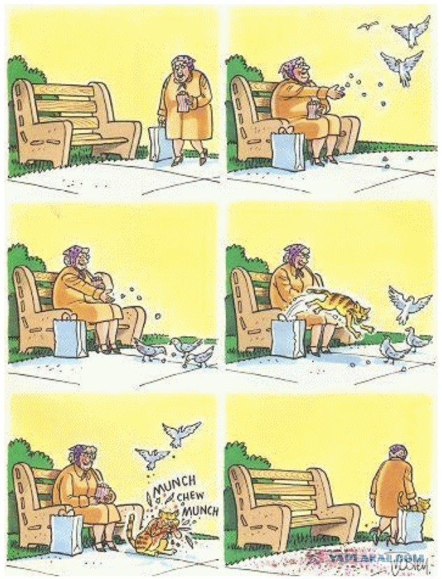 "Я же говорила..."