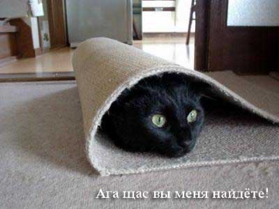Которозыск, срочно!