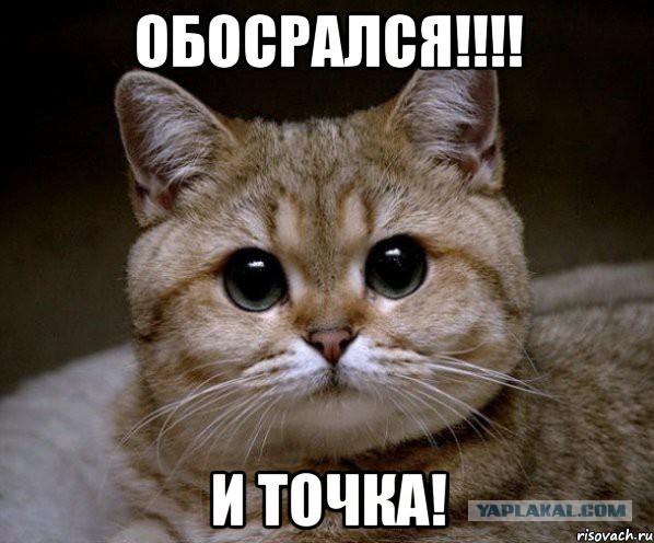 Стрельнуть или не стрельнуть? Вот в чем вопрос...