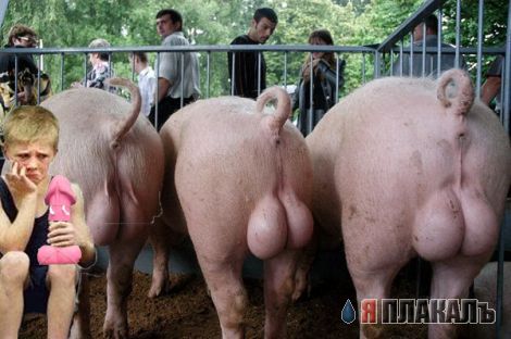 Фотожаба: Несчастный спортсмен