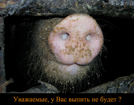 Пазитифчег